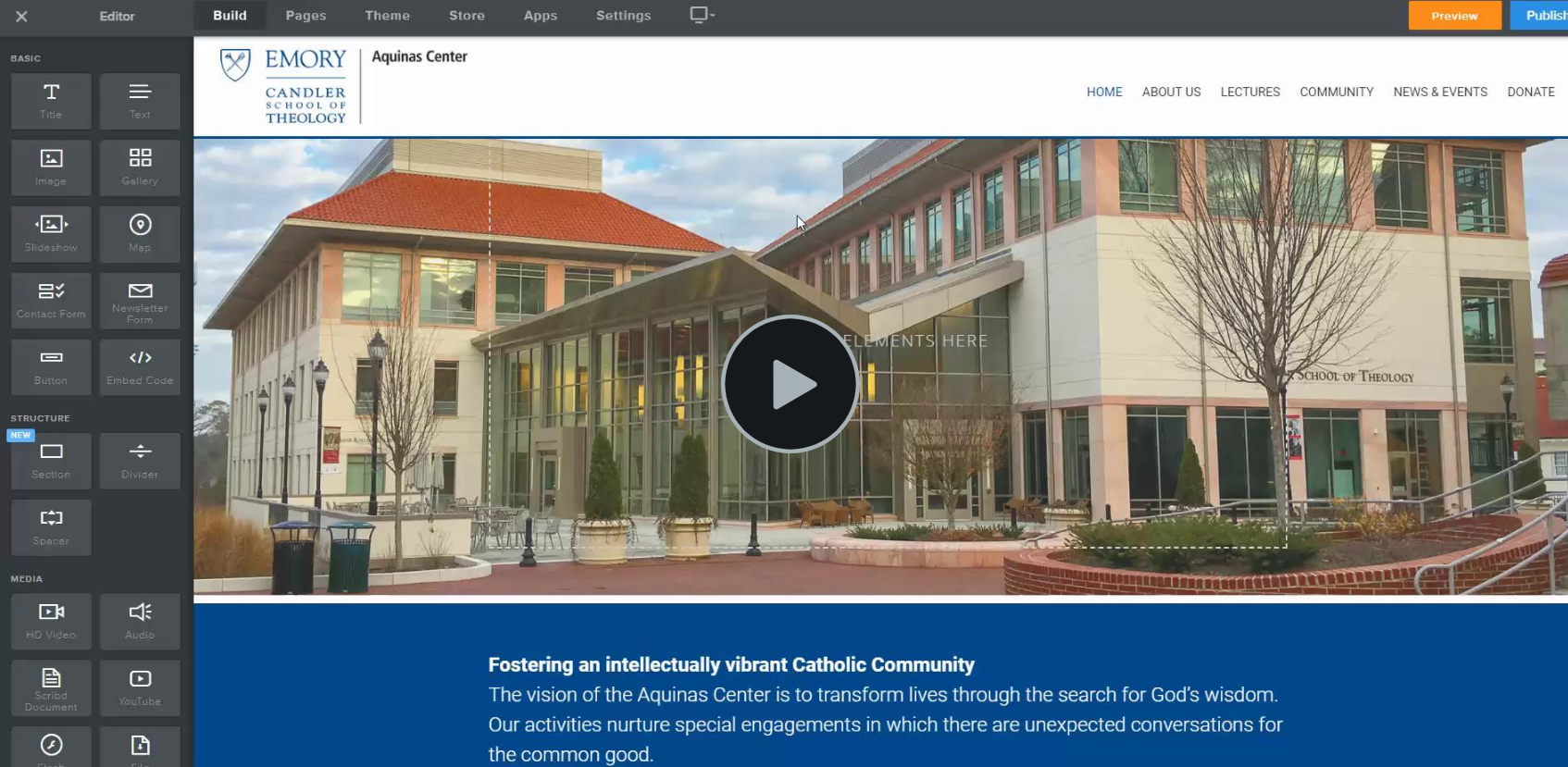 section-widget-screenshot.png